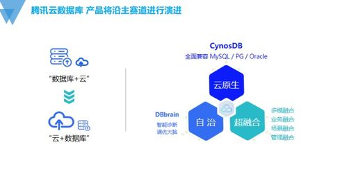 国产数据库技术发展的探索与思考